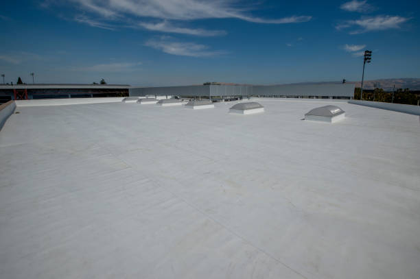 Best Green or Eco-Friendly Roofing Solutions  in Lockport, NY