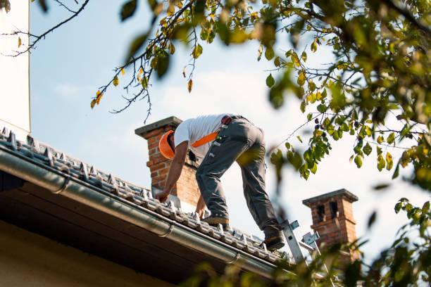 Best Chimney Flashing Repair  in Lockport, NY